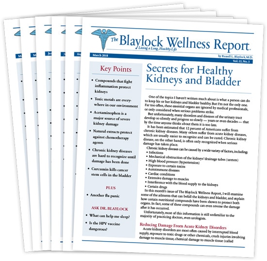 dr blaylock wellness report review