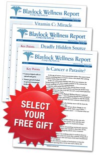 Report Covers
